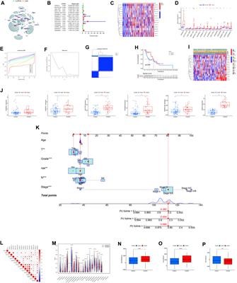 Identification and validation of N6-methyladenosine (m6A)-related lncRNAs signature for predicting the prognosis of laryngeal carcinoma, especially for smoking patients